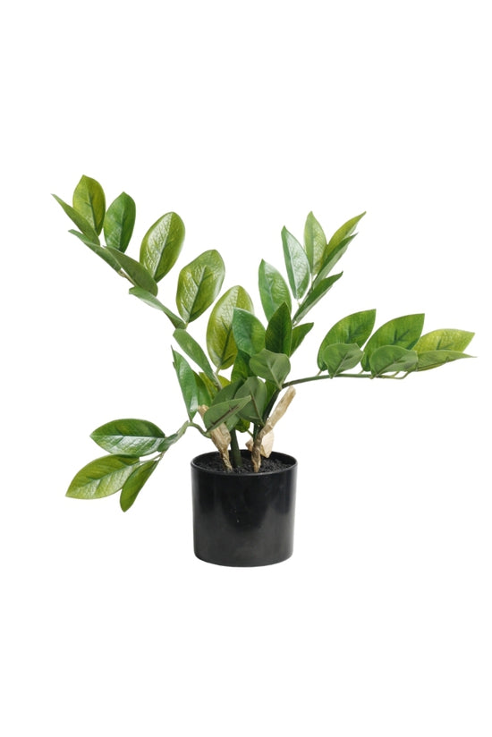 Zamiifolia Potted Plant 31cm – Artificial Indoor Greenery