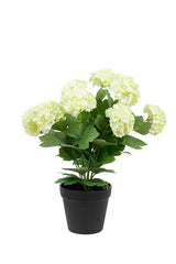 Snowball Potted Plant Off White / Green 40cm | Faux Floral