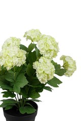 Snowball Potted Plant Off White / Green 40cm | Faux Floral