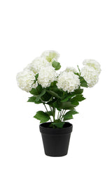 Snowball Potted Plant Off White / Green 40cm | Faux Floral