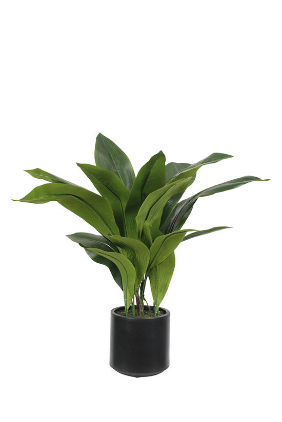 Aspidistra Plant, 76cm Potted Faux Plant, 22 Leaves