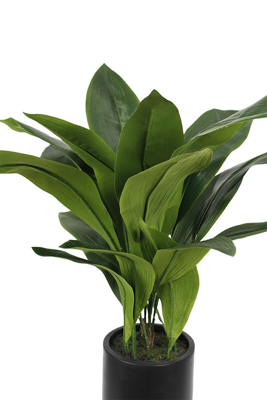 Aspidistra Plant, 76cm Potted Faux Plant, 22 Leaves