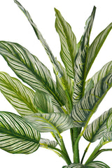 An Artificial Flora Calathea Whitestar Leaf Bush with green and white leaves on a white background.