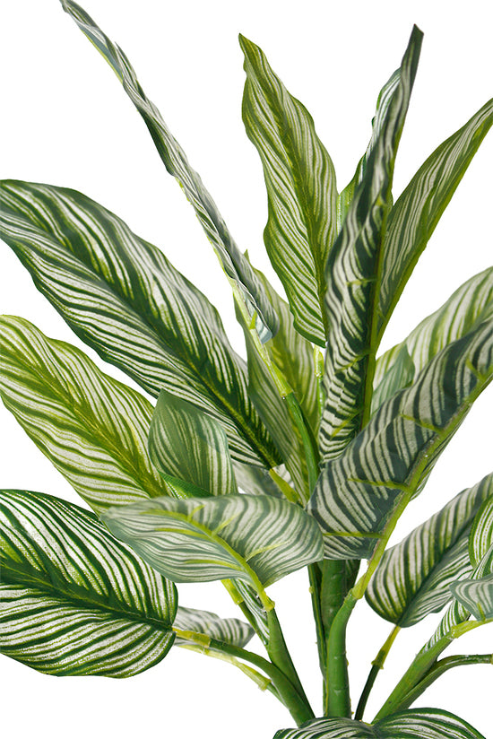 An Artificial Flora Calathea Whitestar Leaf Bush with green and white leaves on a white background.