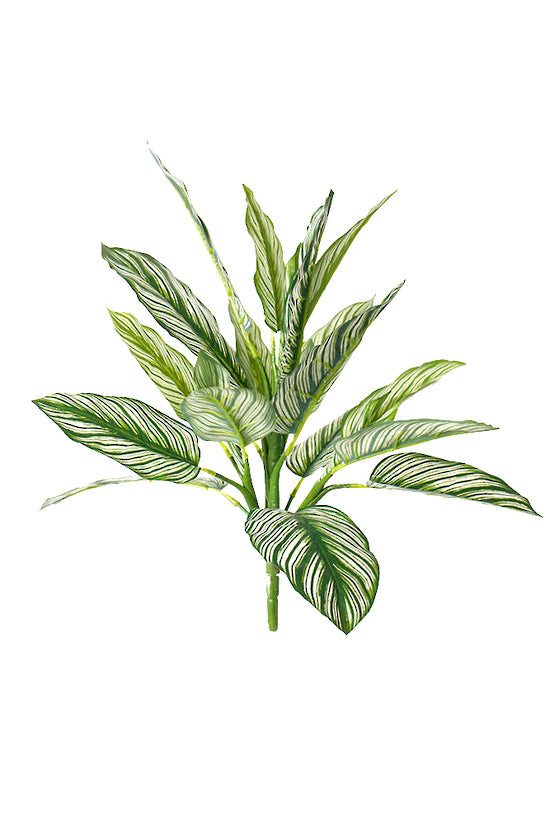 An Artificial Flora Calathea Whitestar Leaf Bush with green leaves on a white background.