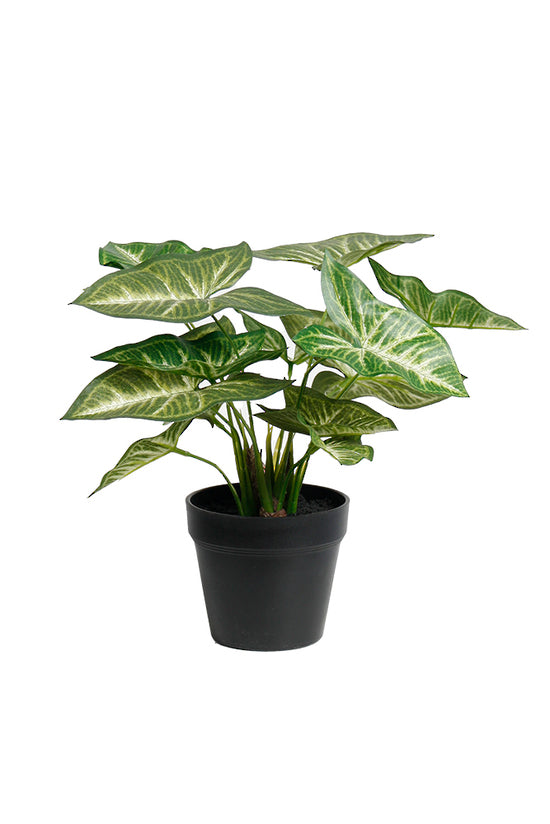 Artificial Syngonium Plant in Black Pot – 30cm Potted Faux Plant with Realistic Leaves