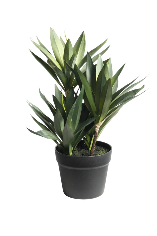 Small Dracaena, 45cm Potted Faux Plant