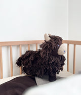 Fergus the Highland cow lying in a timber cot, shaggy chocolate coat in full view