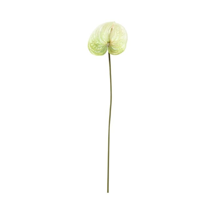 Anthurium Stem, White, Green or Variegated Faux Flower