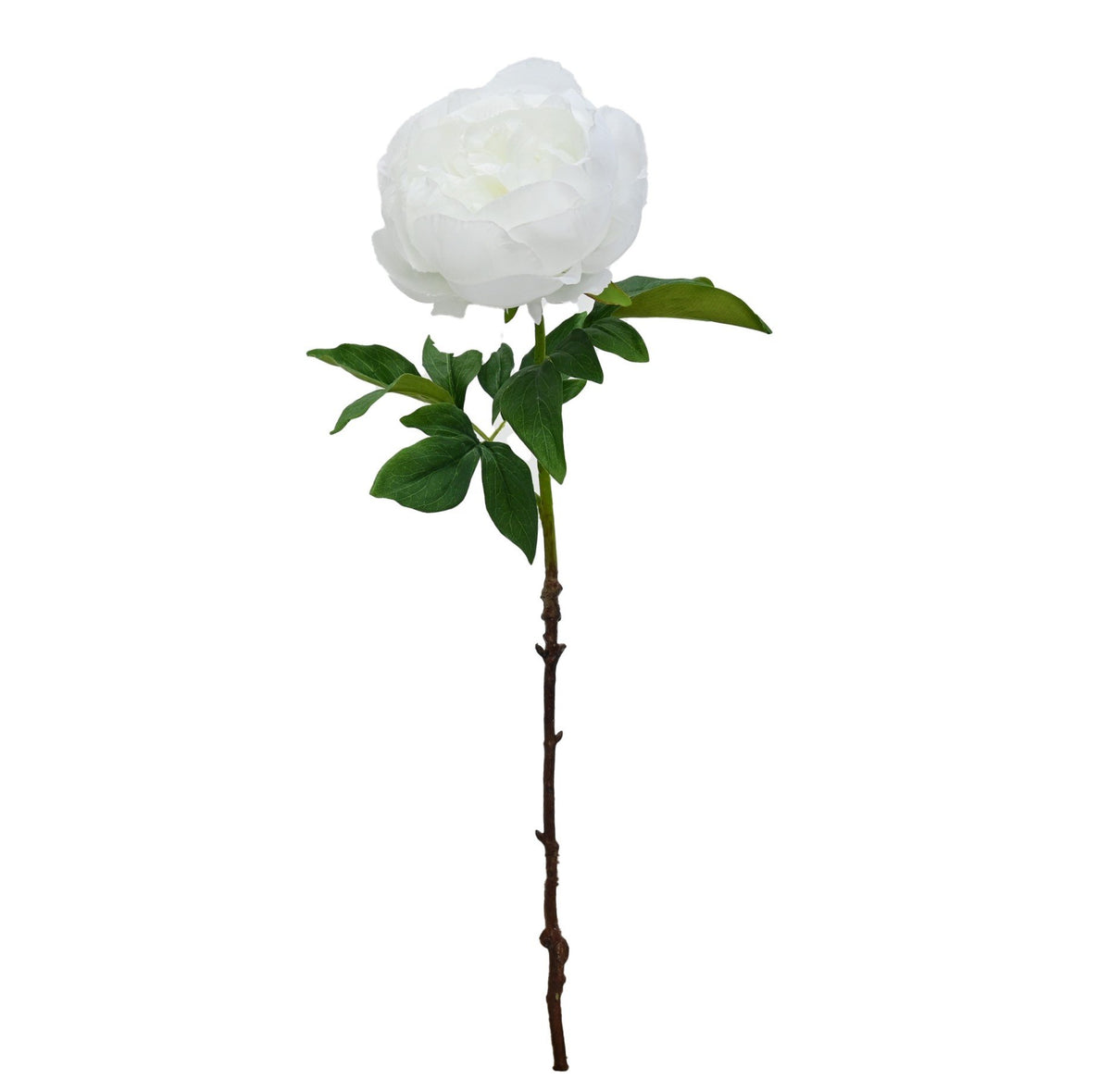 Duchess Peony Stem, White 57cm Faux Flower