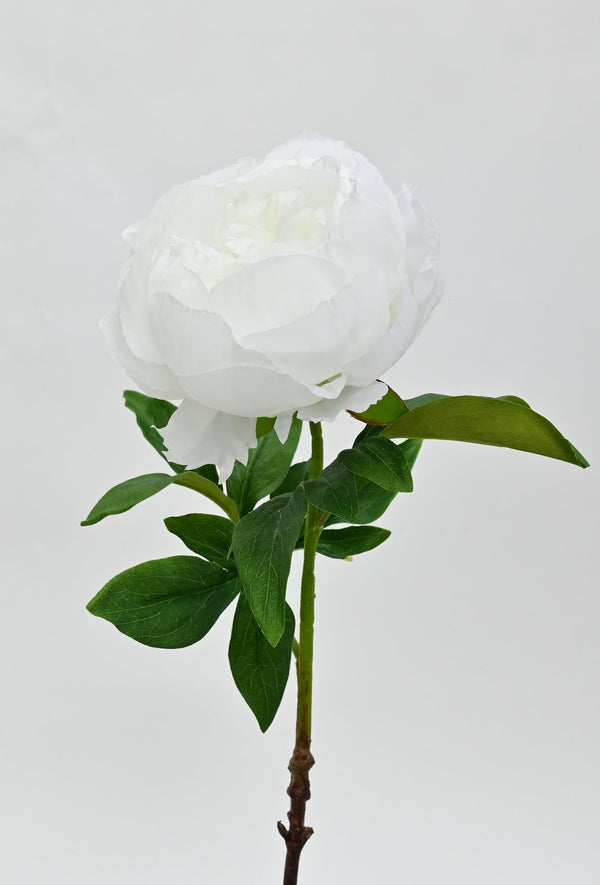 Duchess Peony Stem – White 57cm | Artificial Crisp White Peony