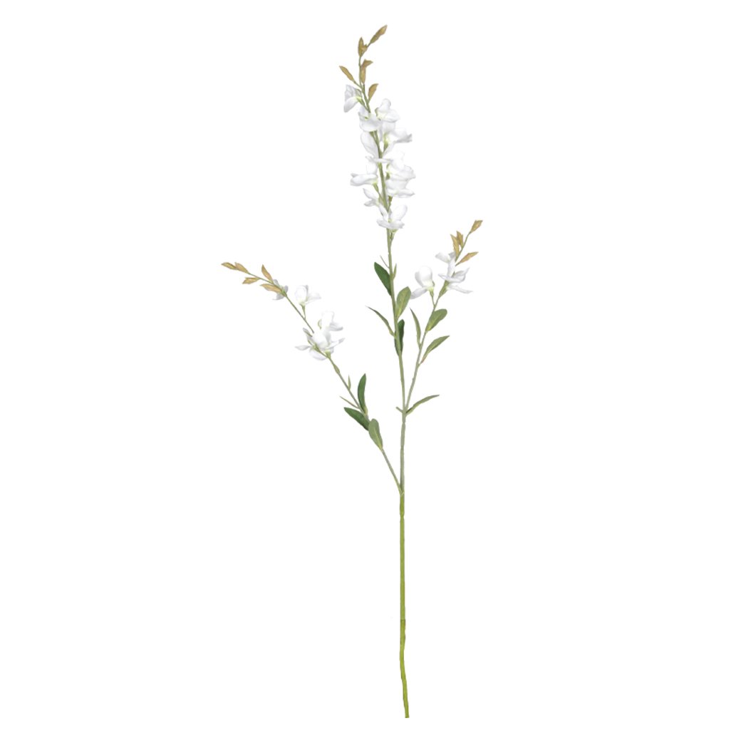 Single white wild indigo stem with branching sprays of small florets, on a white background
