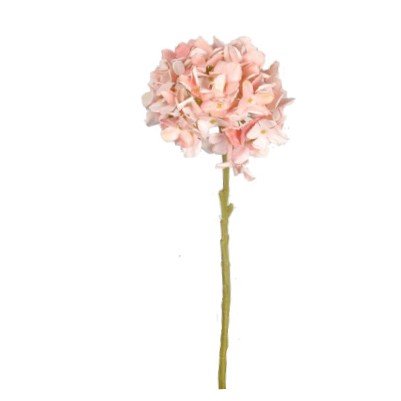 Faux country hydrangea stem in rose pink on a white background