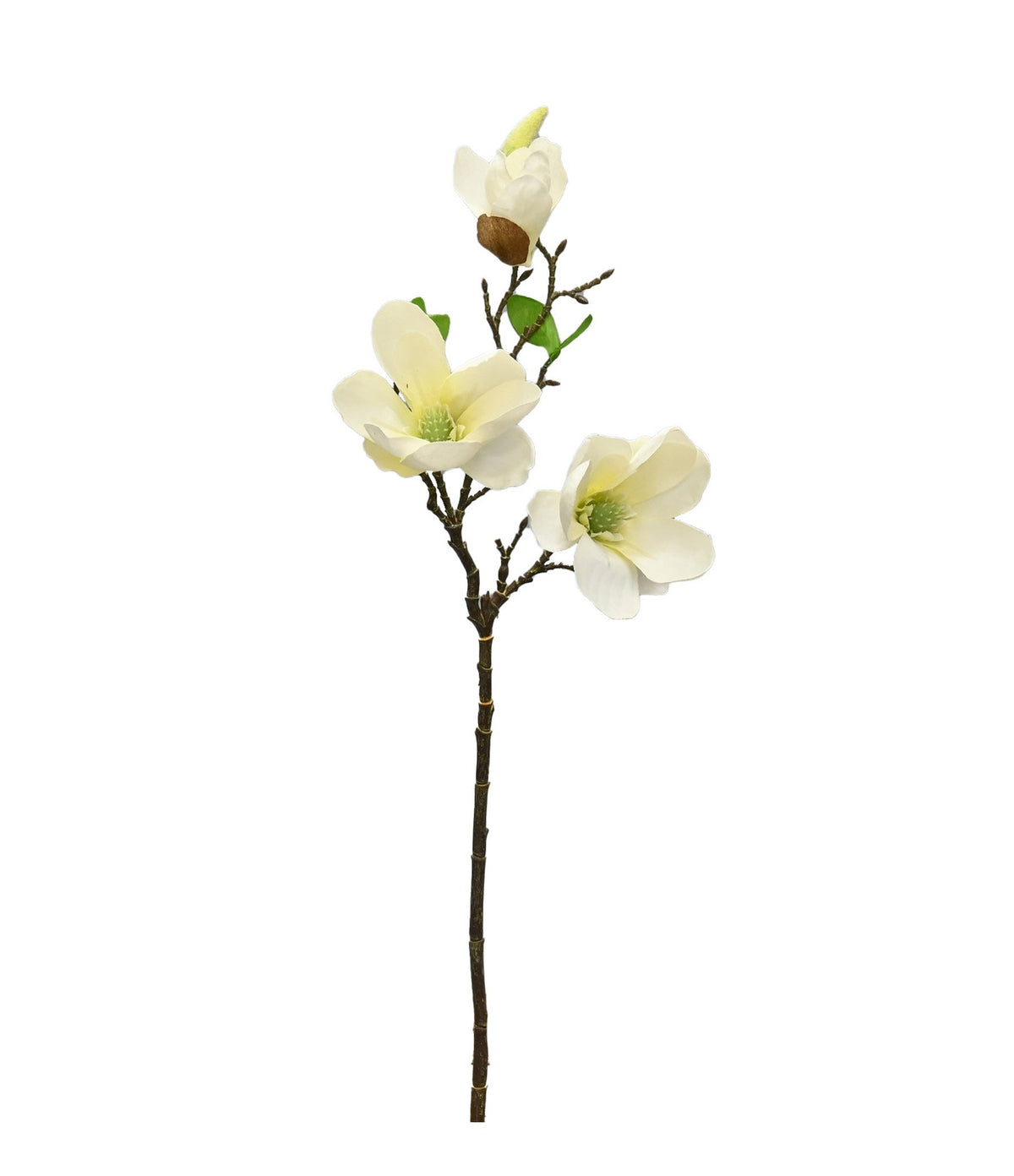 Evergreen Magnolia, White 43cm Faux Stem
