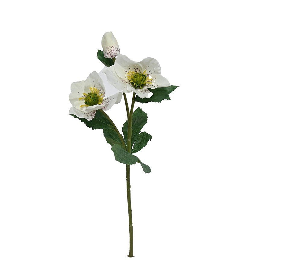 Garden Hellebore Stem, White 40cm Faux Flower