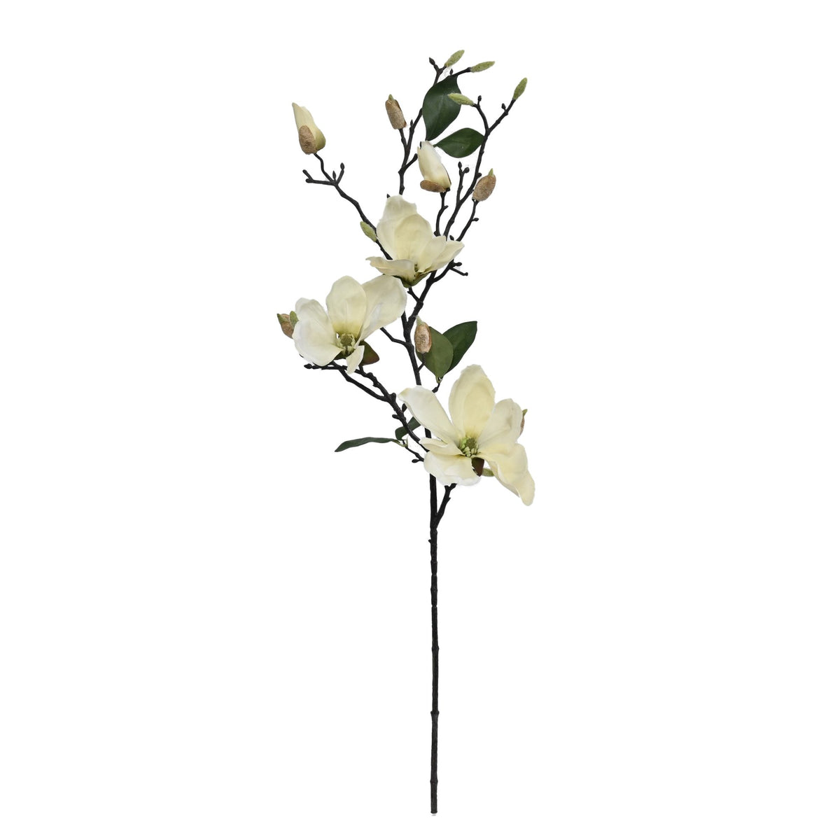 Faux white magnolia branch with blooms, buds and green leaves on a white background