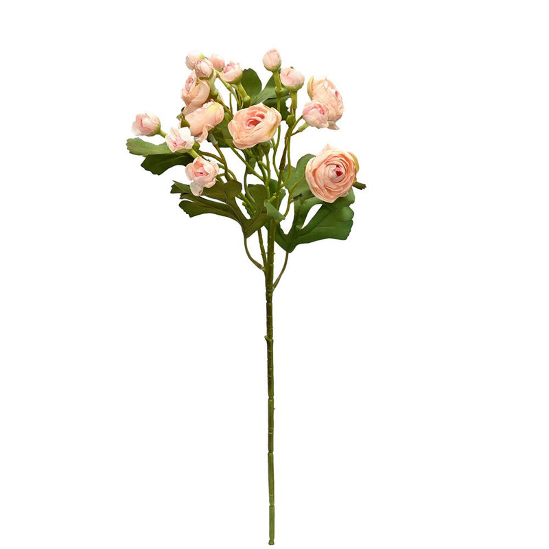 Mini Ranunculus - Baby Pink