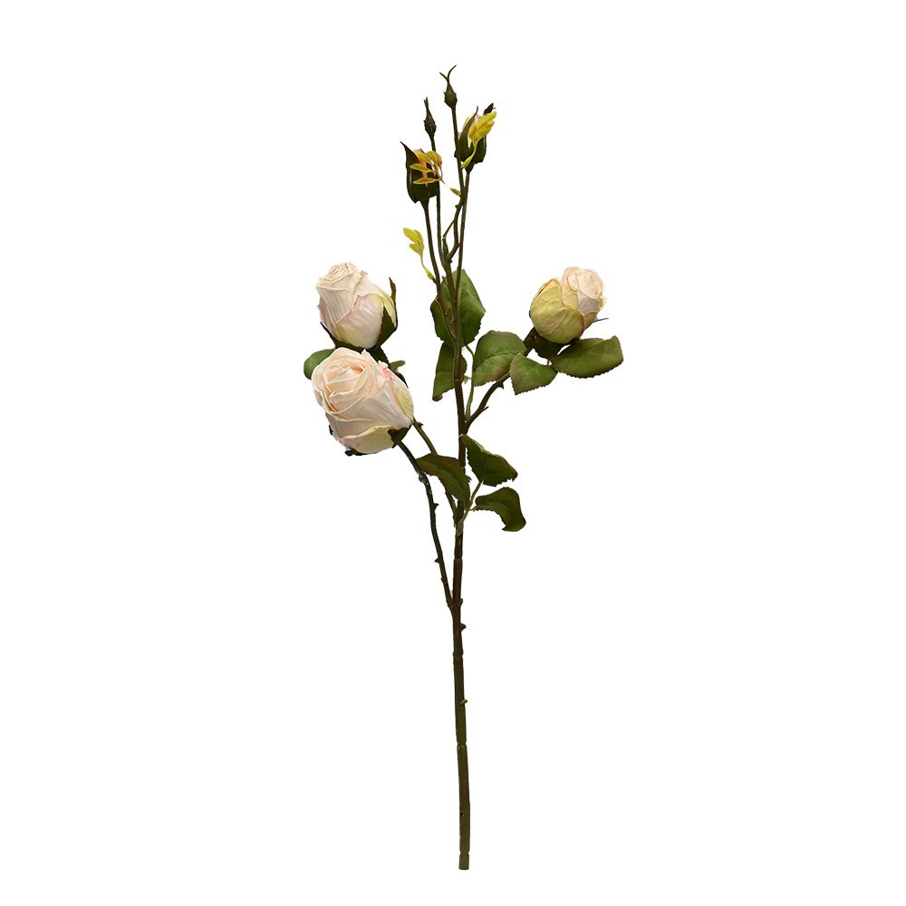 Cabbage Rose Stem, Blush Ivory 53cm Faux Flower
