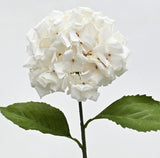 Annabelle Hydrangea Stem – White | 58cm Artificial Flower