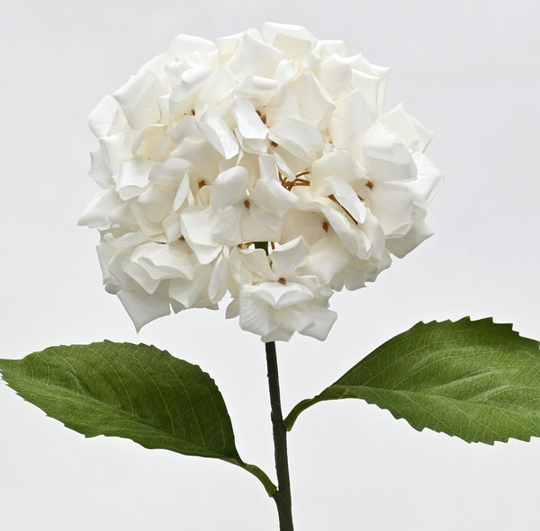 Annabelle Hydrangea Stem – White | 58cm Artificial Flower