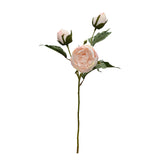 Vintage Peony Stem – 55cm Artificial Flower in White or Blush