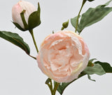 Vintage Peony Stem – 55cm Artificial Flower in White or Blush