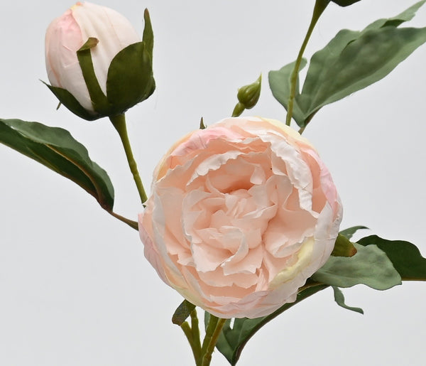 Vintage Peony Stem – 55cm Artificial Flower in White or Blush