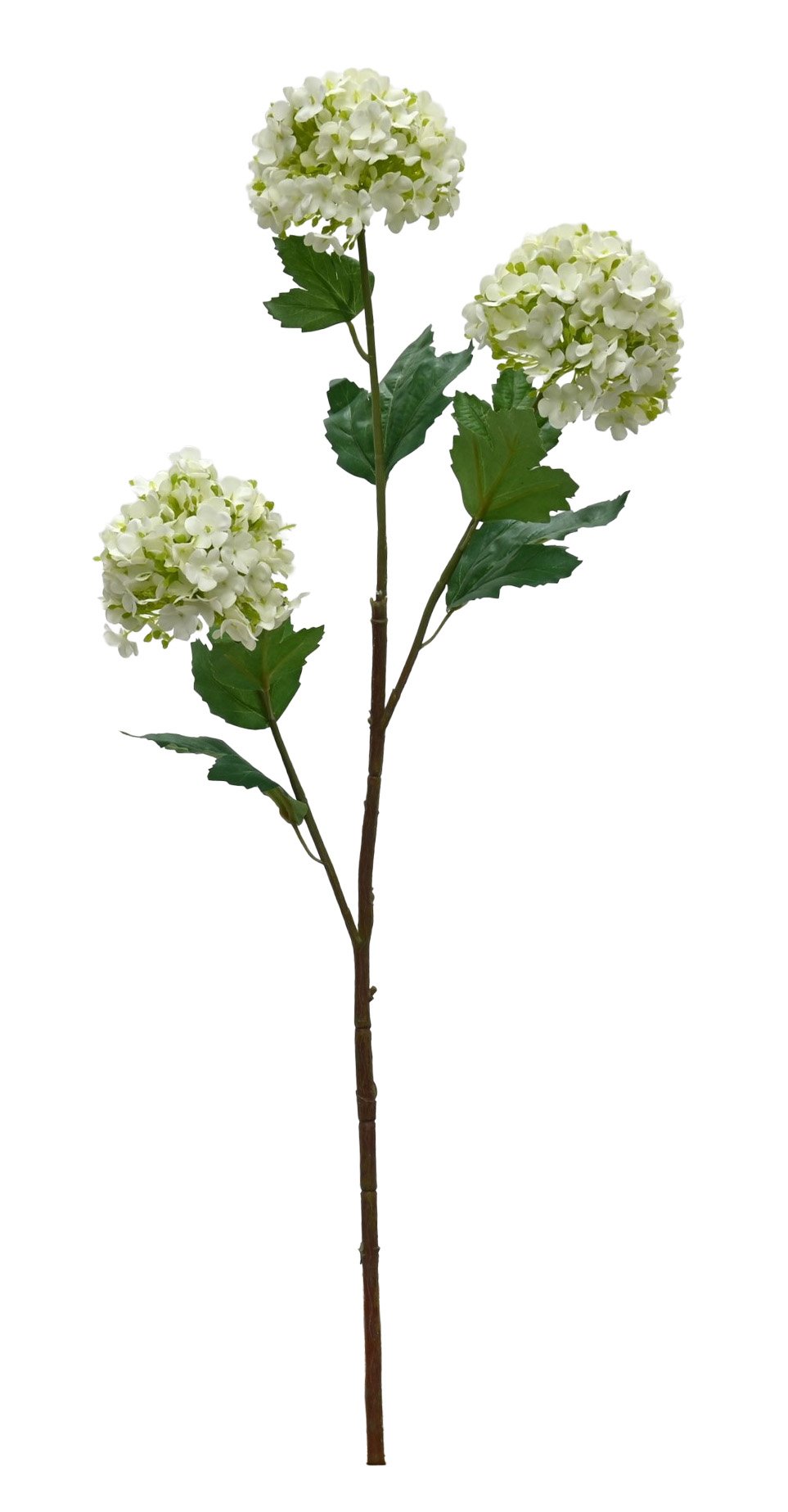 Single white faux viburnum stem with rounded snowball blooms and green leaves, on white