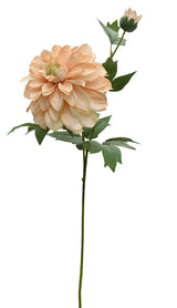 Heritage Dahlia Stem – Apricot Glow | 60cm Faux Flower