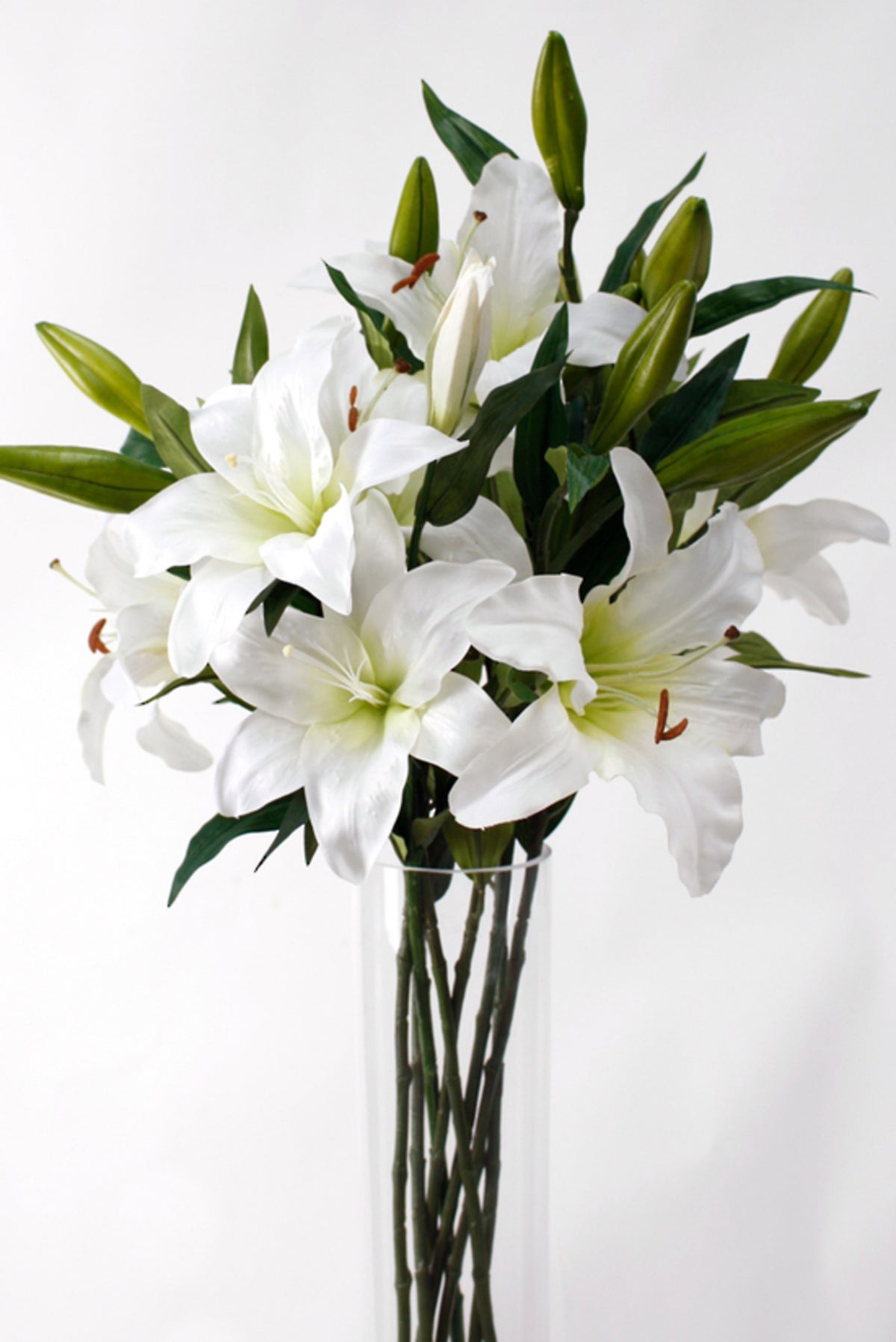 White rubrum lily stems in a tall glass vase