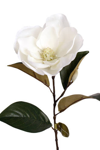 A Cameo Magnolia - White flower on a stem against a white background, showcasing Artificial Flora.