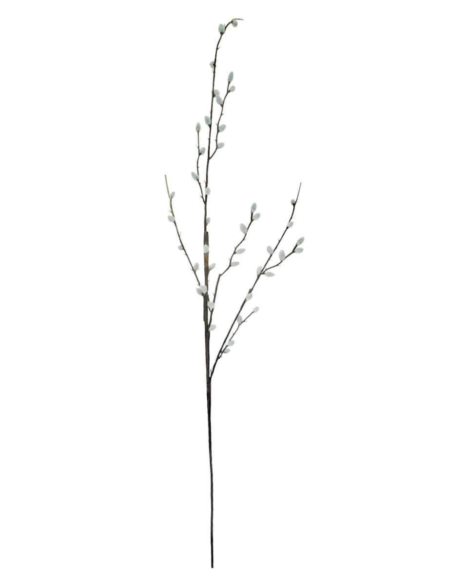 Faux pussy willow stem with soft grey-green catkins on slim brown branches, 105cm tall