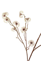 Clematis Seed Pod Artificial Spray Cream 94cm