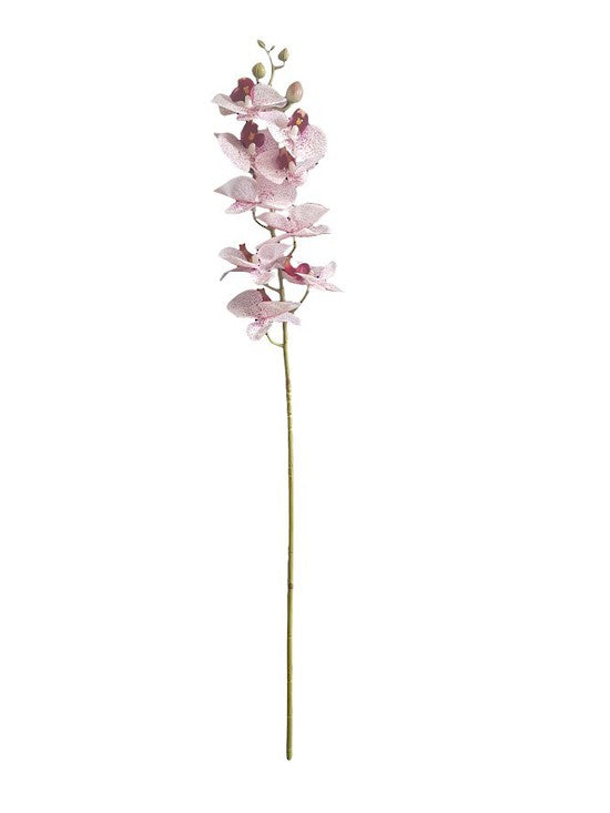 Real Touch Moth Orchid Pink/White Spot