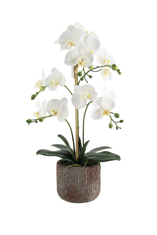 Phalaenopsis Orchid in Rustic Pot, White 61cm / 66cm Faux Plant