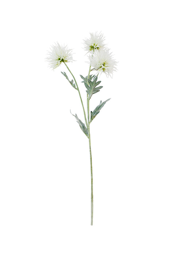 Alpine Flower Cream