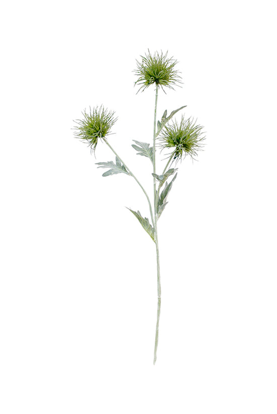 A bunch of Alpine Flower Green on a white background with plants by Artificial Flora.