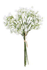 Gypsophila Bundle