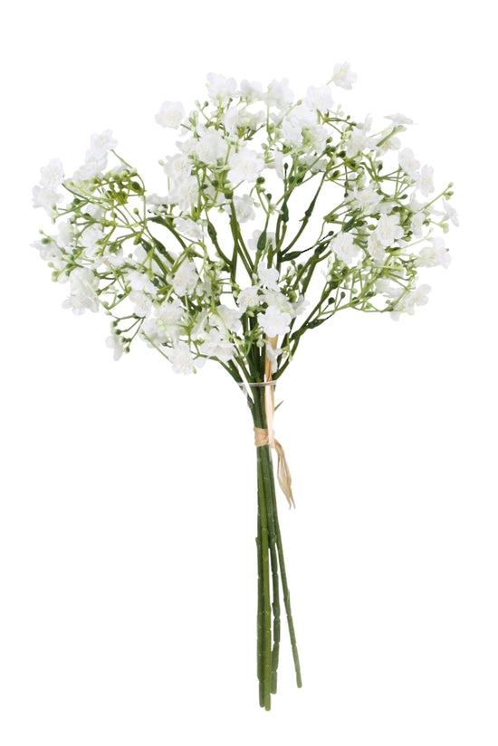 Gypsophila Bundle