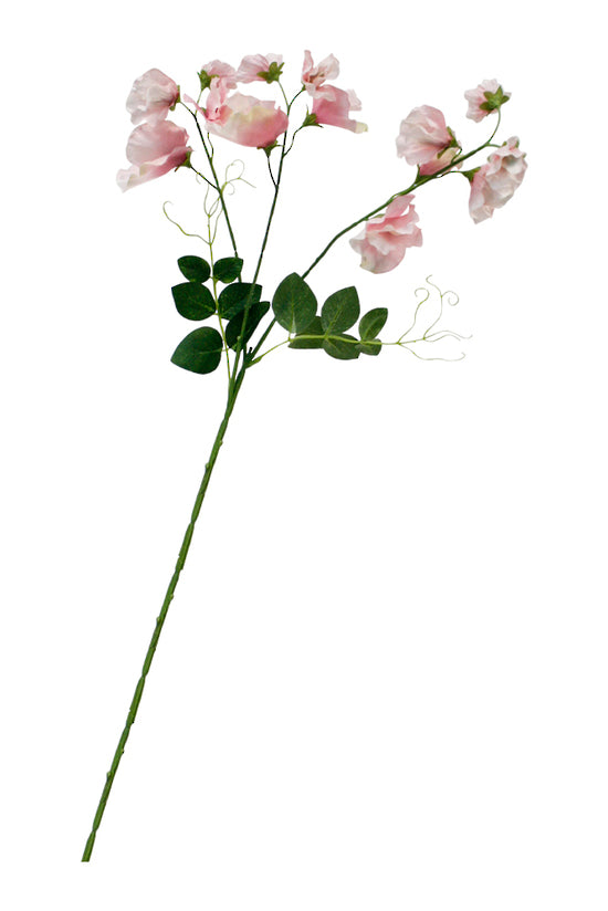 Sweet Pea Spray, Cream or Pink 68cm Faux Stem