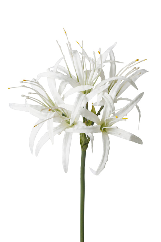 Nerine Spray White 72cm – Artificial Flower Stem