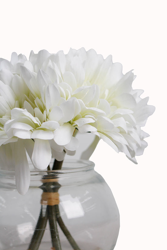 Gerbera Bundle in Fishbowl Vase