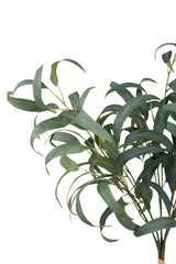 Eucalyptus Spray Bundle Grey-Green 96.5cm