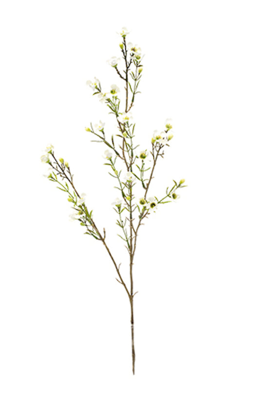 A branch of Wax Flower White sprays on a white background. (Brand: Artificial Flora)