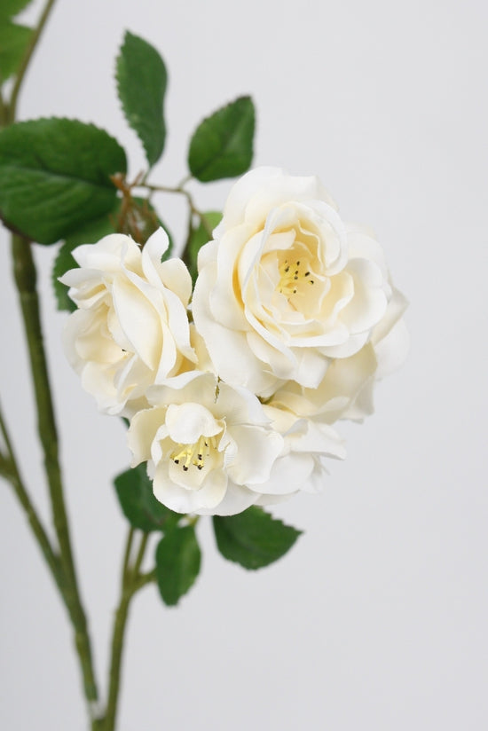 Wild Rose Spray, Cream 97cm Faux Flower