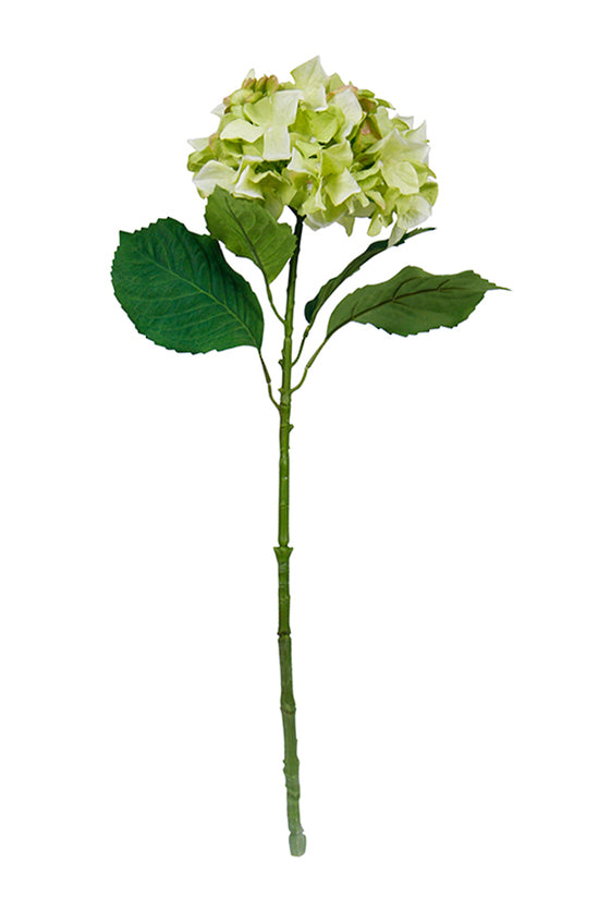 Faux Sublime Hydrangea stem with a green and cream bloom and two leaves on a white background