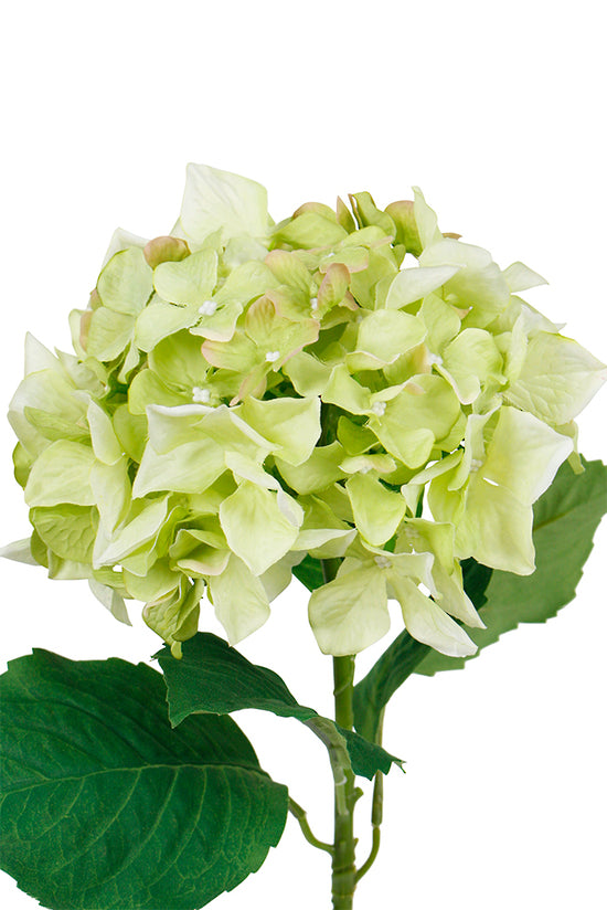 Sublime Hydrangea Green 65cm – Artificial Flower Stem
