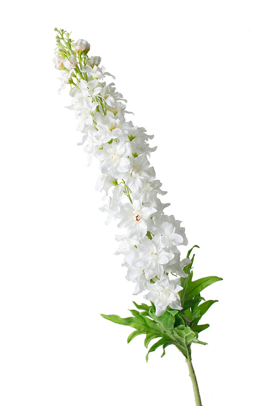 Delphinium Spray, White 109cm Faux Flower