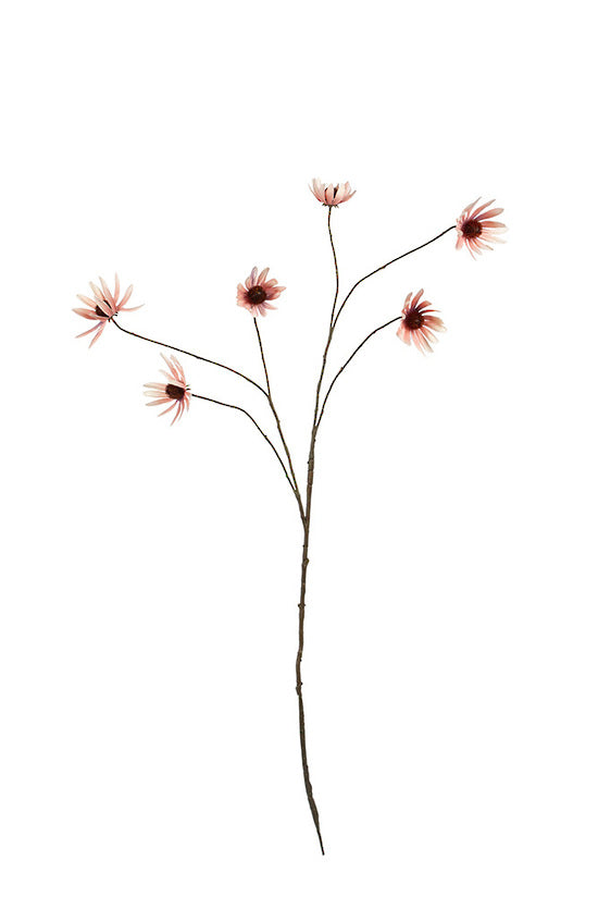 Dusky pink rudbeckia spray, a faux stem with several daisy-like flowers, on white