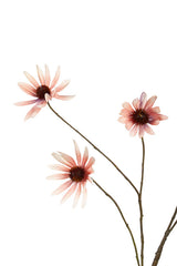 Rudbeckia Spray Faux Flower Stem, Dusky Pink 114cm